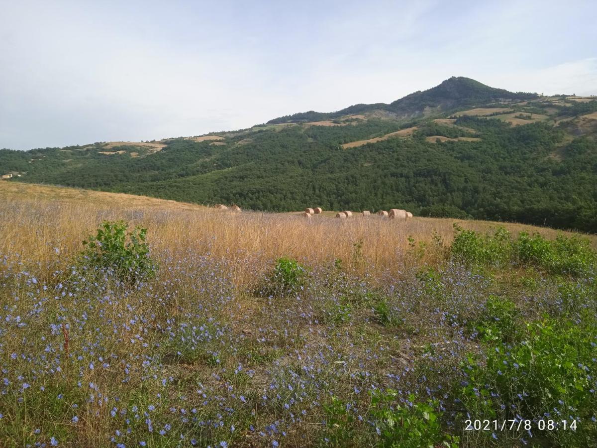Due Principi E Una Fata Sestola Kültér fotó